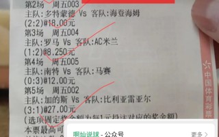 FB体育官网-土耳其战胜挪威，晋级欧预赛淘汰赛阶段